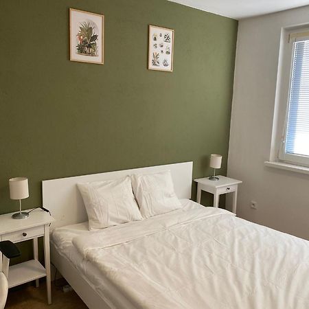 Cozy, Bright Room With Free Parking Bratislava Buitenkant foto