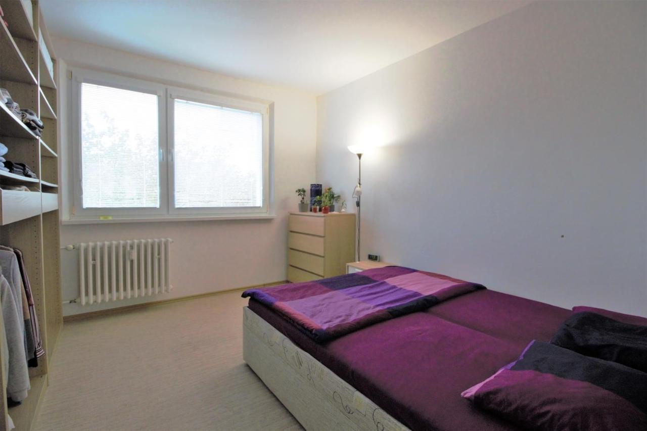 Cozy, Bright Room With Free Parking Bratislava Buitenkant foto