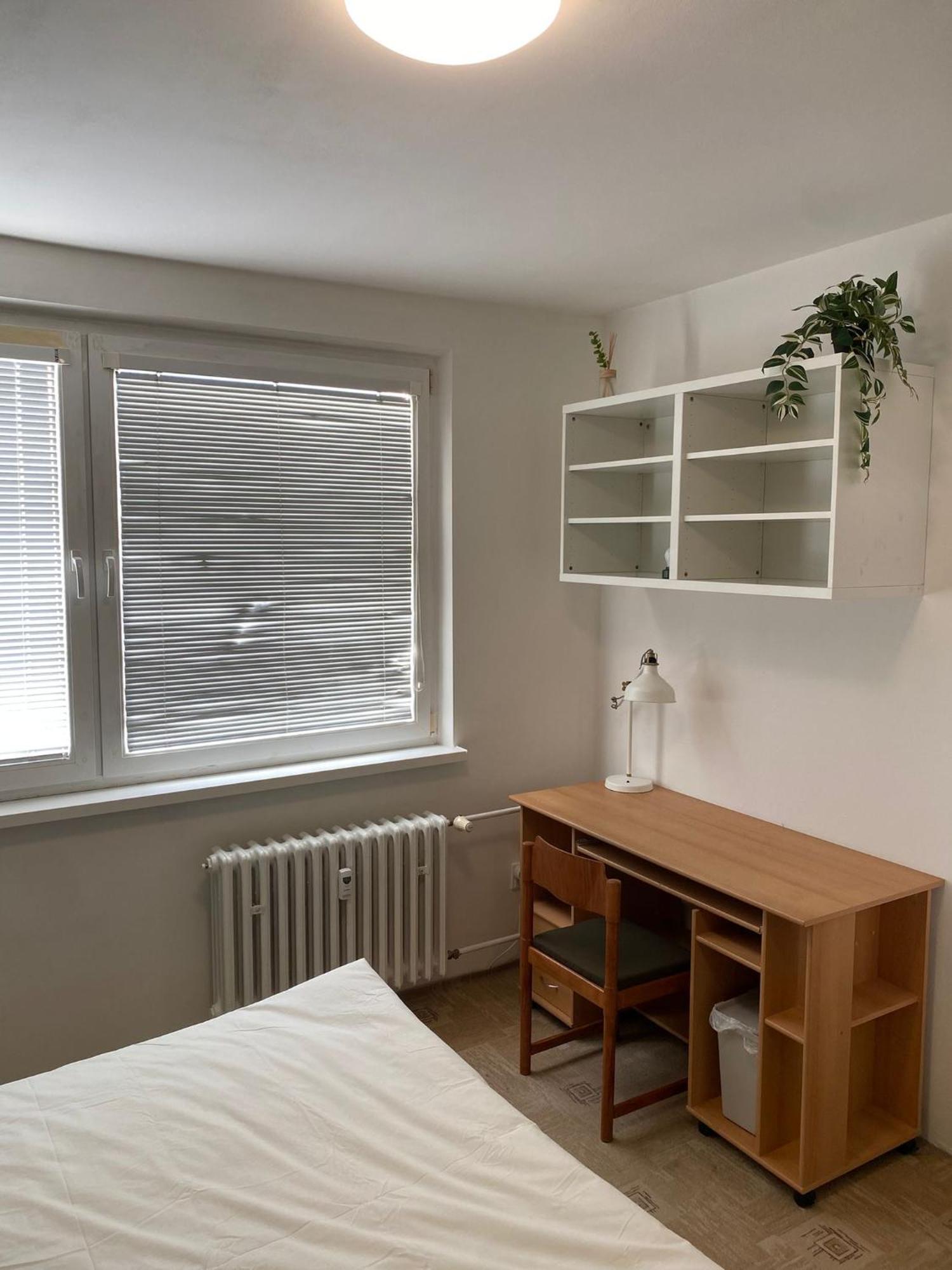 Cozy, Bright Room With Free Parking Bratislava Buitenkant foto